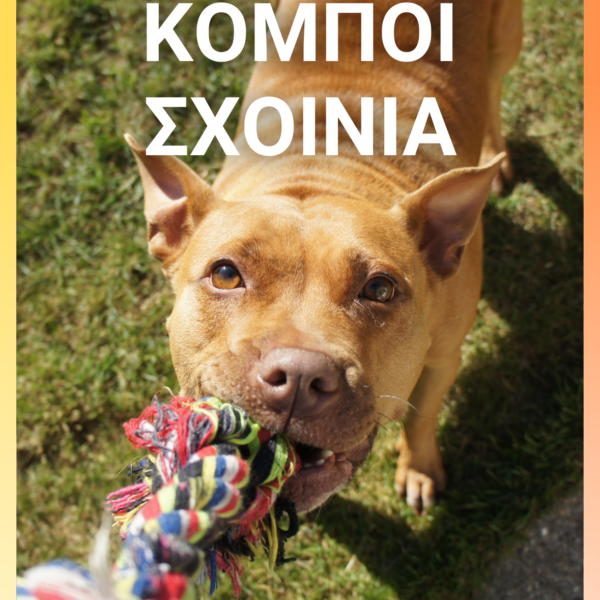 Παιχνίδι Σκύλου Teckel με Ήχο 27cm