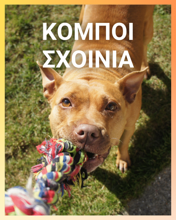 Παιχνίδι Σκύλου Teckel με Ήχο 27cm