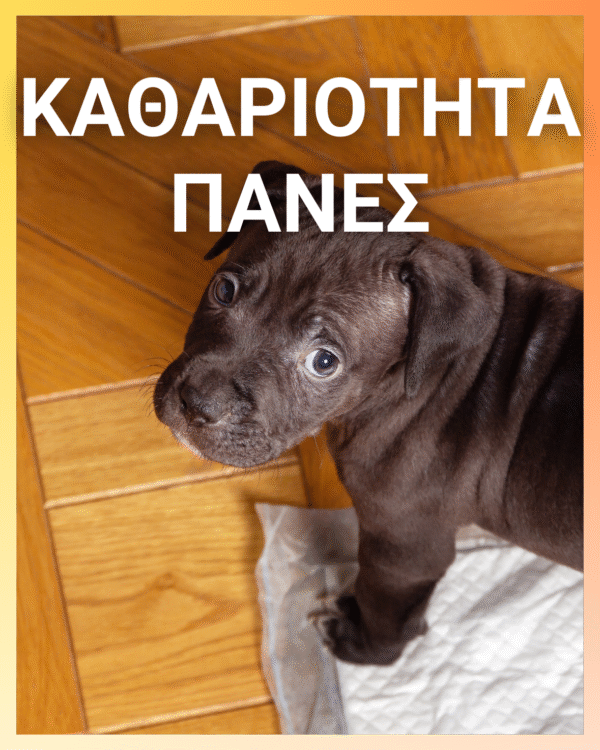 Slicker Βούρτσα με Μαλακή Χειρολαβή M size