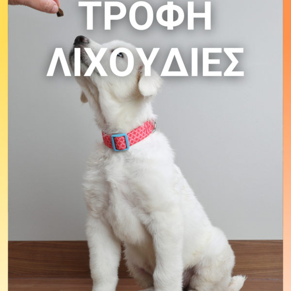 Animology paws & nose balm