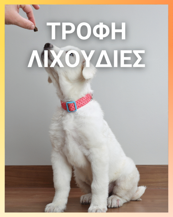 Slicker Βούρτσα με Μαλακή Χειρολαβή M size