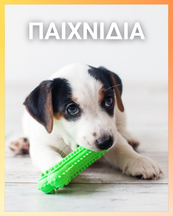 Slicker Βούρτσα με Μαλακή Χειρολαβή M size