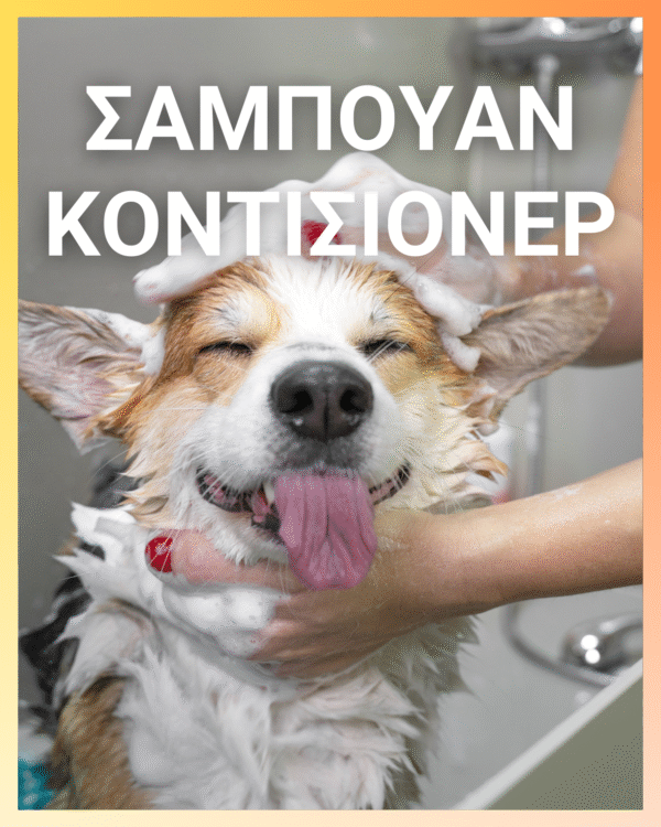 Shampoo 2 σε 1 με Conditioner