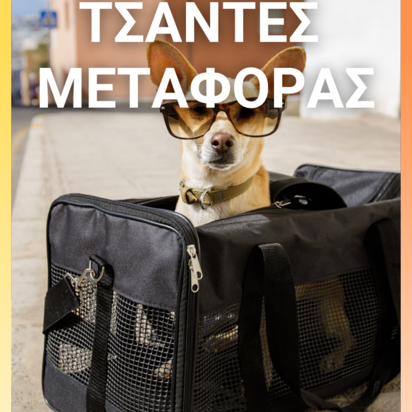 Αυτόματος Οδηγός 5Μ 3 σε 1