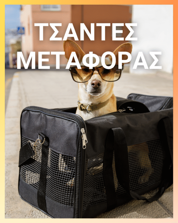 Αυτόματος Οδηγός 5Μ 3 σε 1