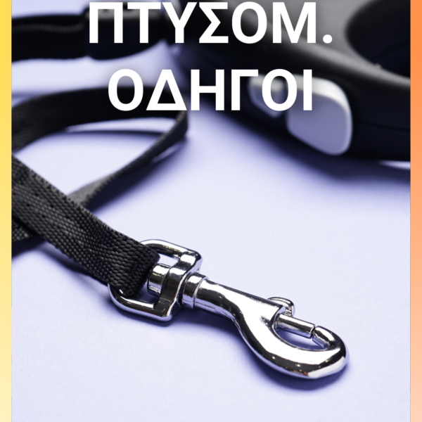Αυτόματος Οδηγός 5Μ 3 σε 1