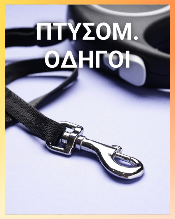 Αυτόματος Οδηγός 5Μ 3 σε 1