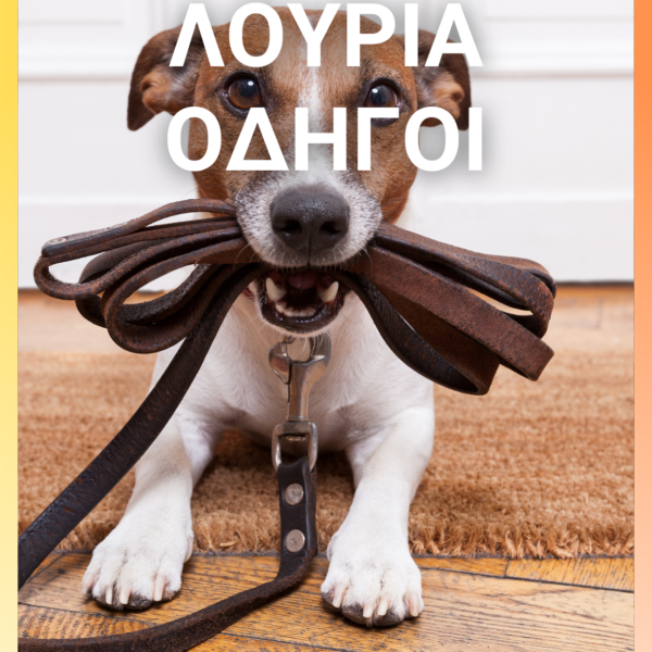 Αυτόματος Οδηγός 5Μ 3 σε 1
