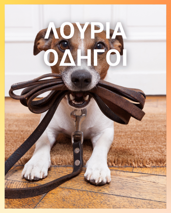 Αυτόματος Οδηγός 5Μ 3 σε 1