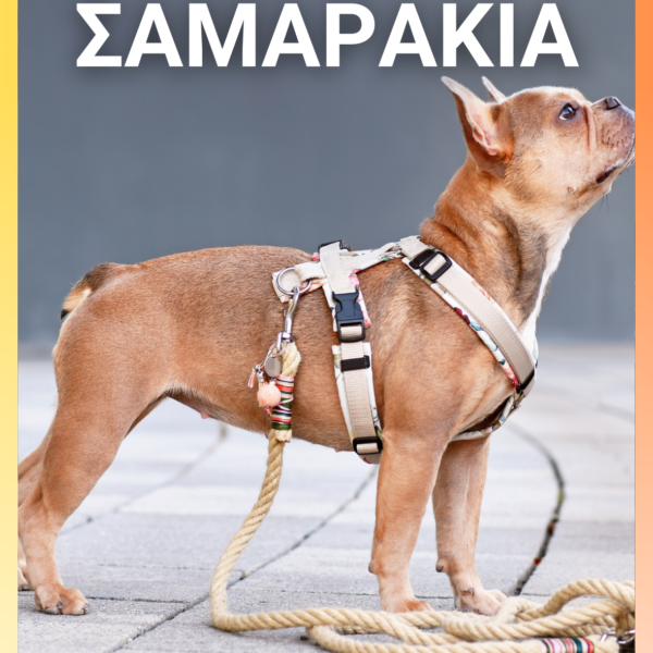 Αυτόματος Οδηγός 5Μ 3 σε 1