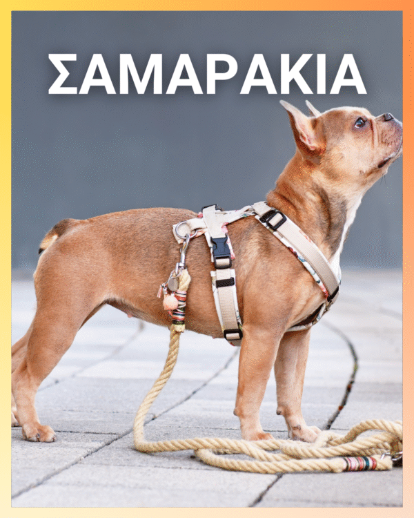 Αυτόματος Οδηγός 5Μ 3 σε 1