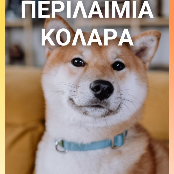 Αυτόματος Οδηγός 5Μ 3 σε 1