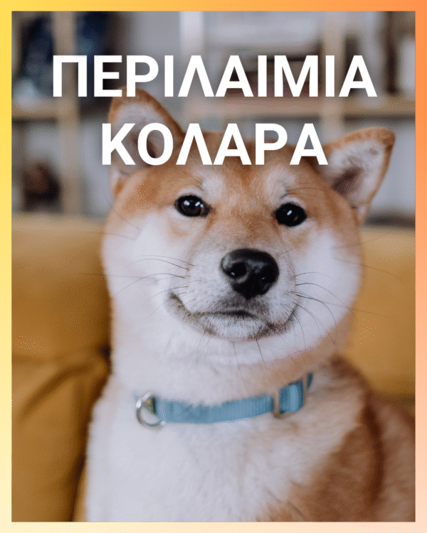 Αυτόματος Οδηγός 5Μ 3 σε 1