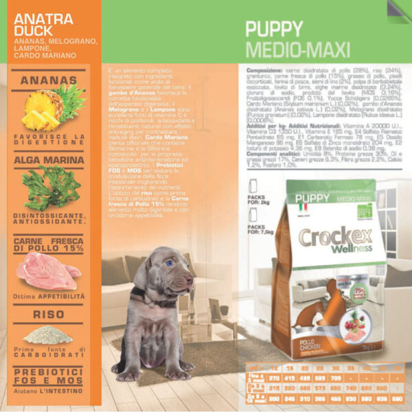 Crockex Wellness Puppy Medium & Maxi Chicken & Rice