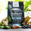 GO NATIVE PUPPY Salmon with Spinach & Ginger
