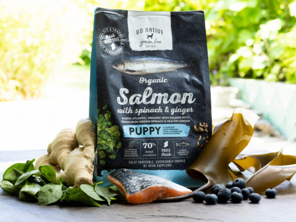 GO NATIVE PUPPY Salmon with Spinach & Ginger