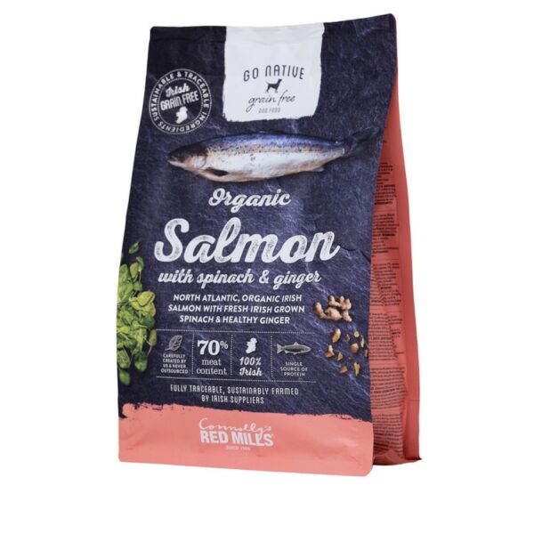 GO NATIVE Adult Salmon with Spinach & Ginger