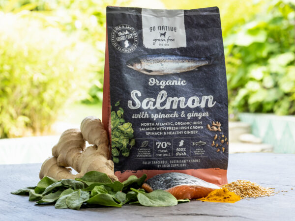 GO NATIVE Adult Salmon with Spinach & Ginger