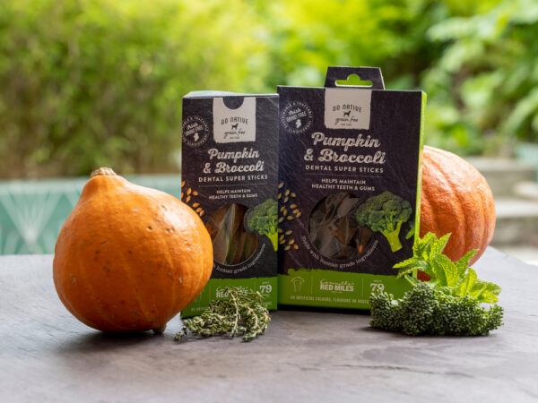 GO NATIVE Super Dental Stick Pumpkin & Broccoli 150gr
